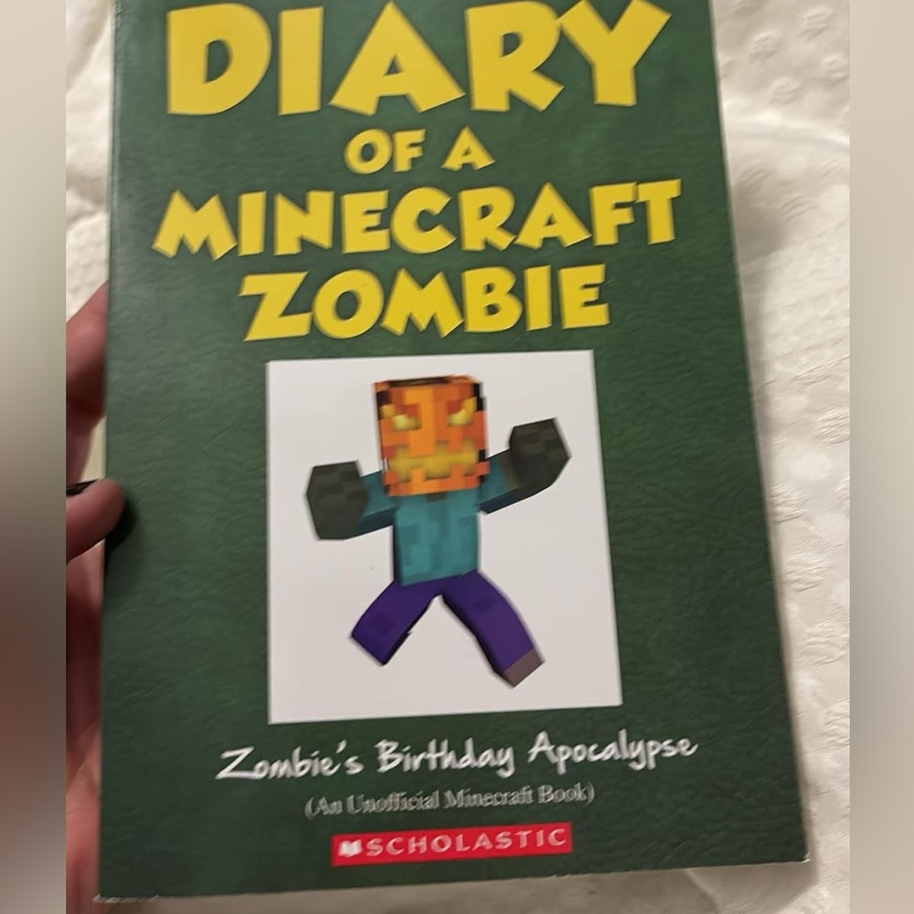 Minecraft books.  Set of 2